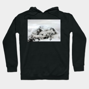 Weather in Antarctica Hoodie